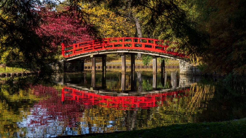 Japanese Garden Red Bridge at Memphis Botanic Garden.